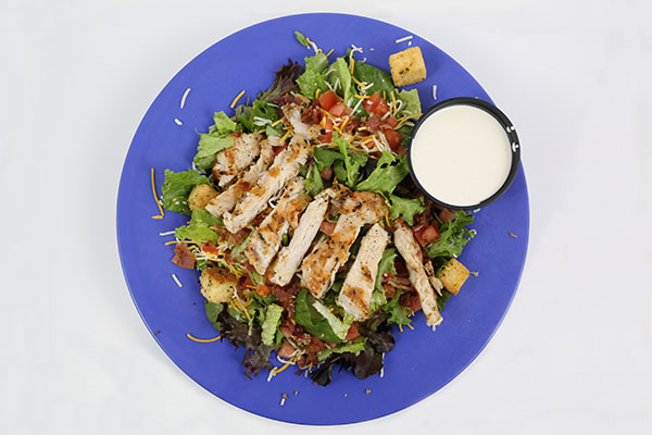 Blue Moose GRILLED CHICKEN SALAD